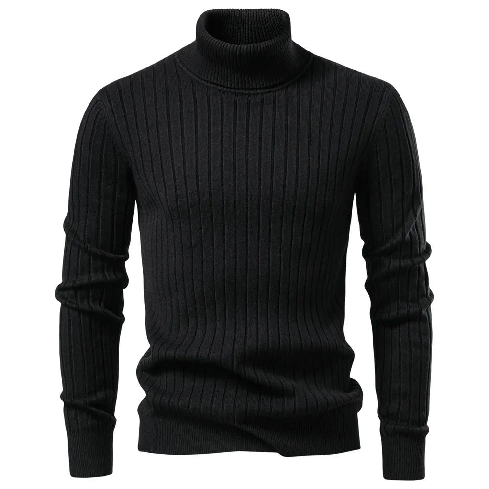 Ellerton Ribbed Turtleneck