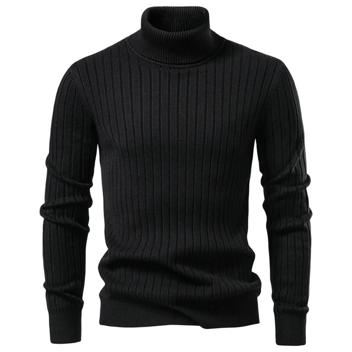Ellerton Ribbed Turtleneck