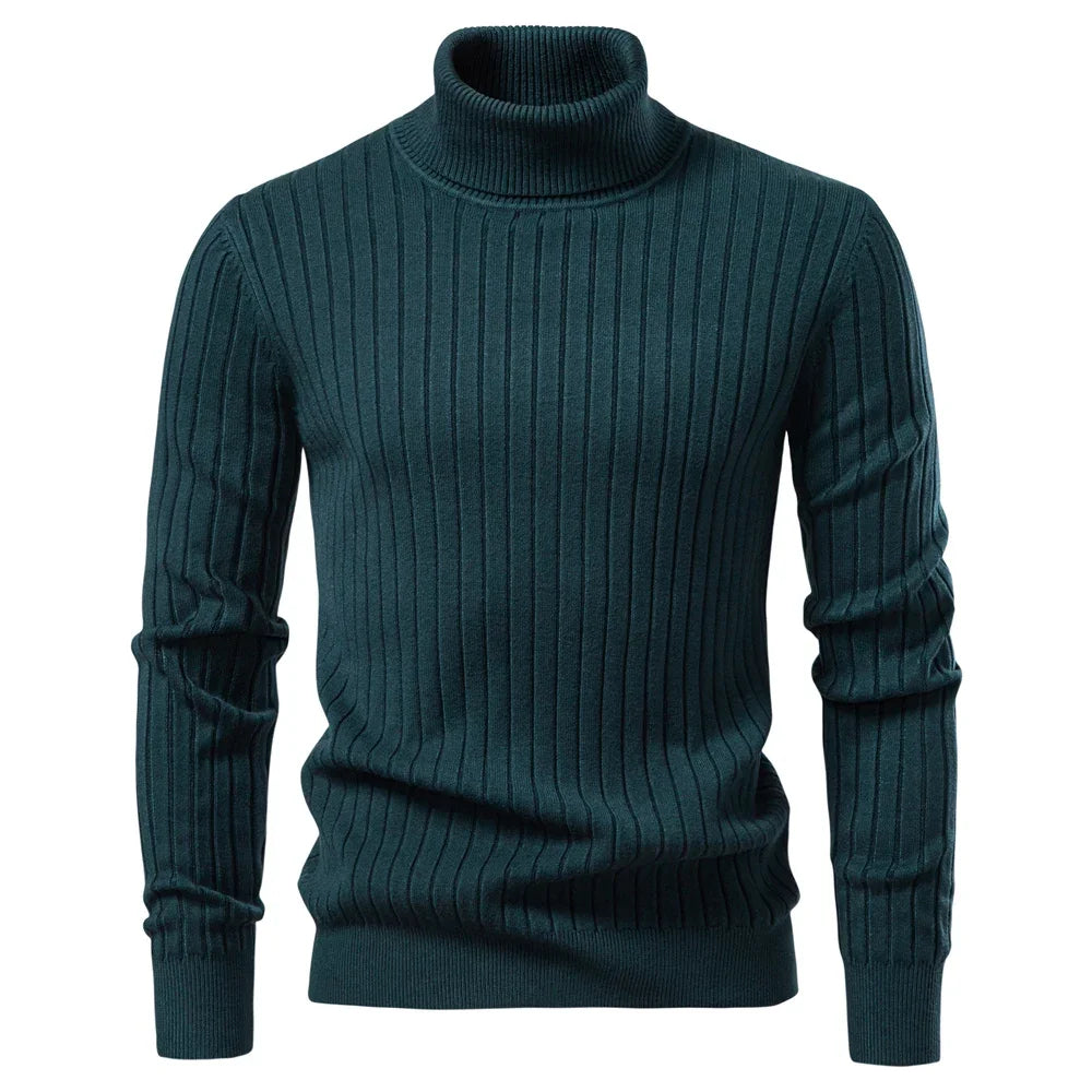 Ellerton Ribbed Turtleneck